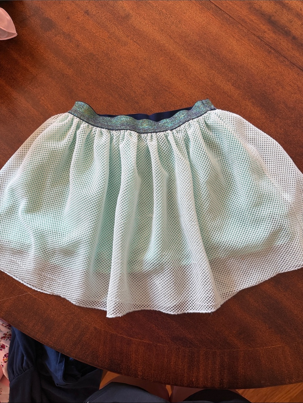 Light Mint Mesh Skirt with Shimmer Waistband